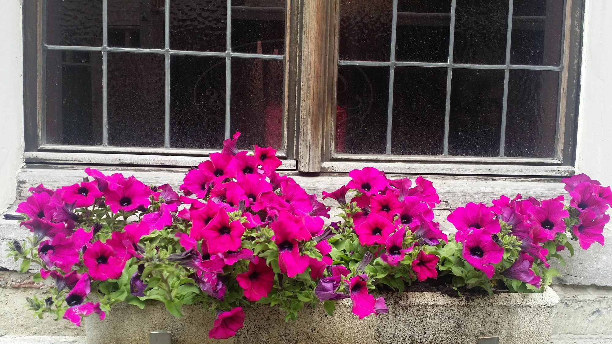 Cour St Georges Hotel Ghent Luaran gambar